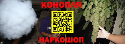 spice Обнинск