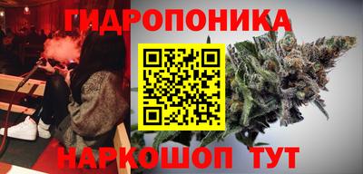 spice Обнинск