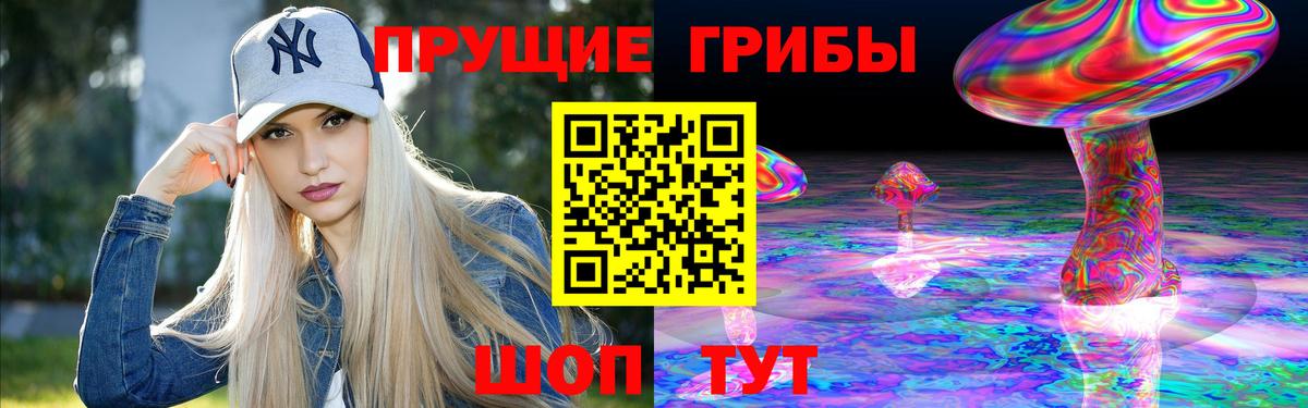 Галлюциногенные грибы Magic Shrooms  Вход с VPN  Псилоцибиновые грибы мицелий  купить наркотик  Сланцы 